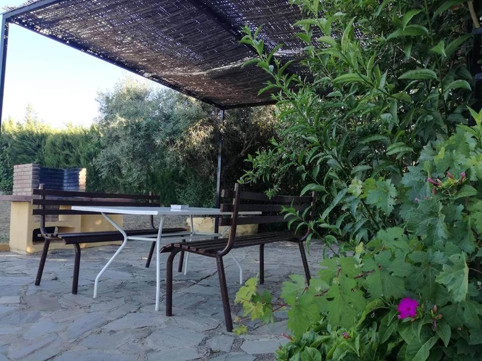 Casa Rural Recreo El Gastor Εξωτερικό φωτογραφία
